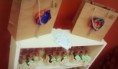 /album/productos/cymera-20150123-163839-jpg/